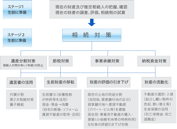 �����葱���̗���